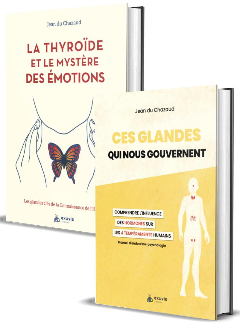 coffret jean du chazaud 3D